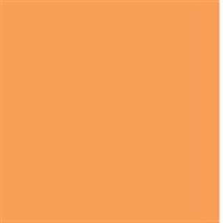 Poza Pal Orange .Lucios - u224l [1]