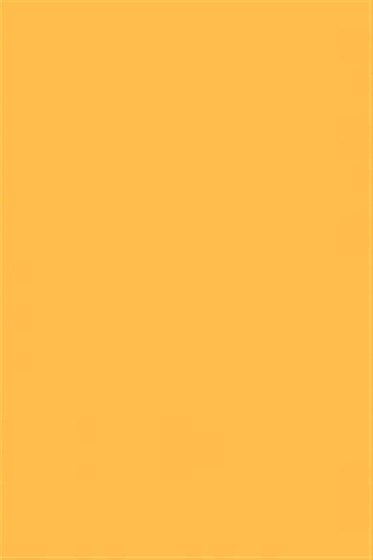 Poza Pal Mango .Lucios - u246l [2]